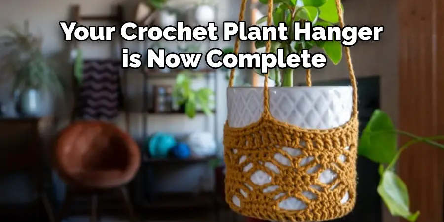 Your Crochet Plant Hanger is Now Complete