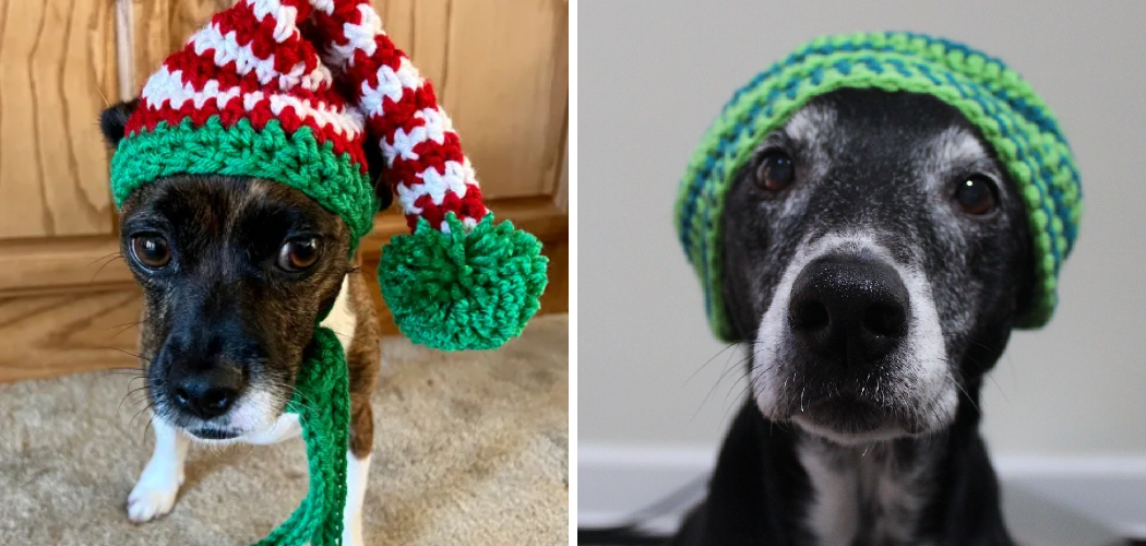 How to Crochet a Dog Hat