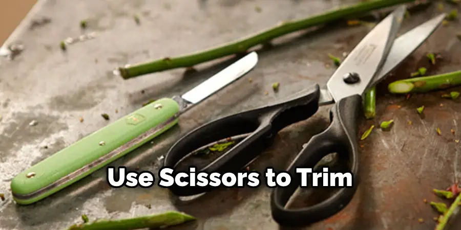 Use Scissors to Trim