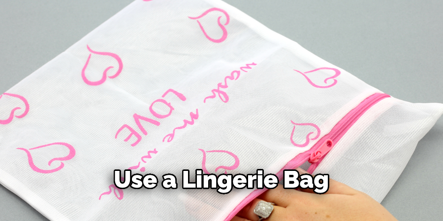 Use a Lingerie Bag 
