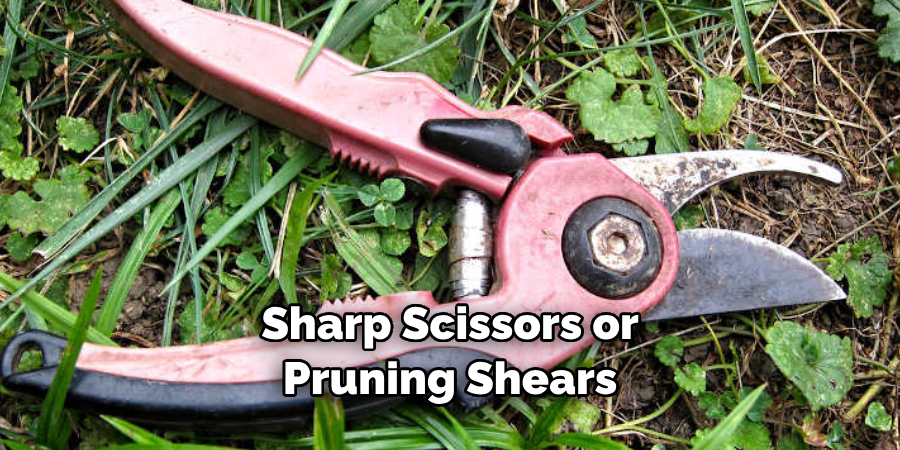 Sharp Scissors or Pruning Shears