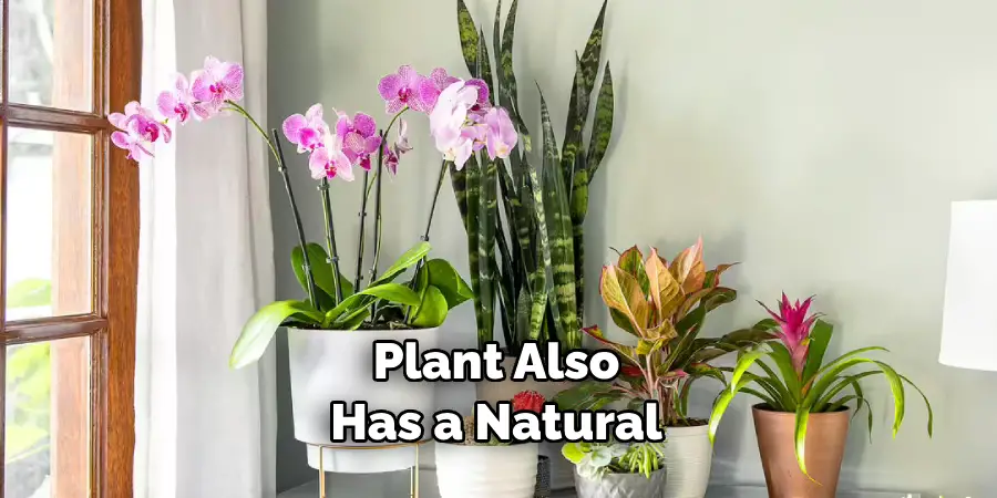 Plant Also Has a Natural