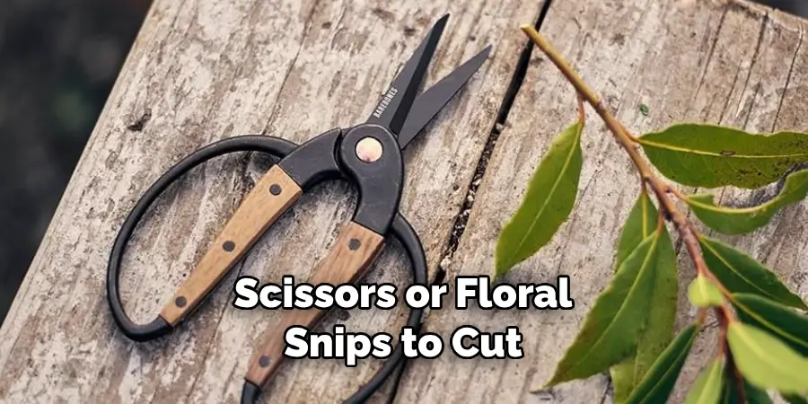 Scissors or Floral Snips to Cut