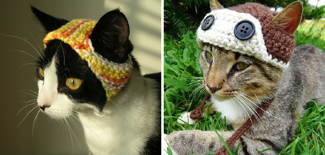 How to Knit a Cat Hat