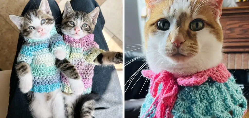 How to Crochet a Cat Sweater | 10 Easy Steps (2024)
