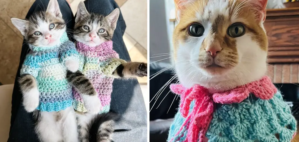How to Crochet a Cat Sweater