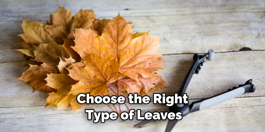 Choose the Right Type of Leaves