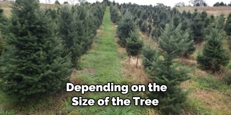 Depending on the Size of the Tree 
