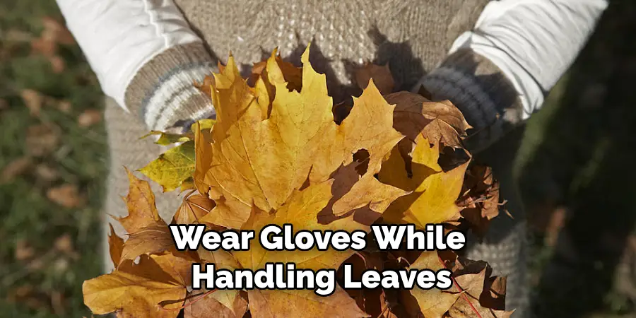 Wear Gloves While Handling Leaves