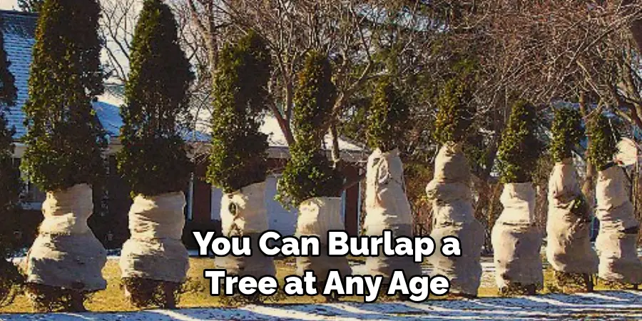  You Can Burlap a Tree at Any Age