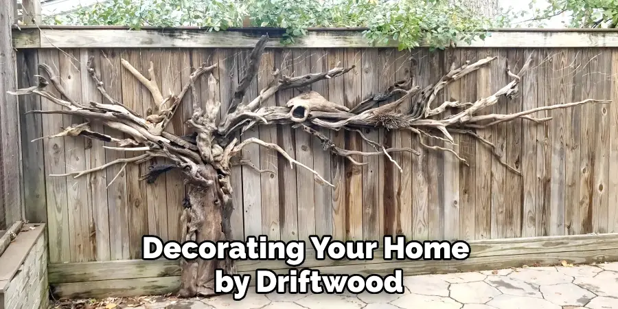 Decorating Your Home by Driftwood
