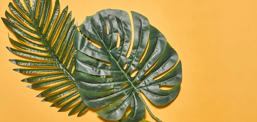 How to Make Things Out of Palm Leaves