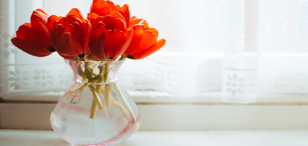 How to Properly Vase Tulips