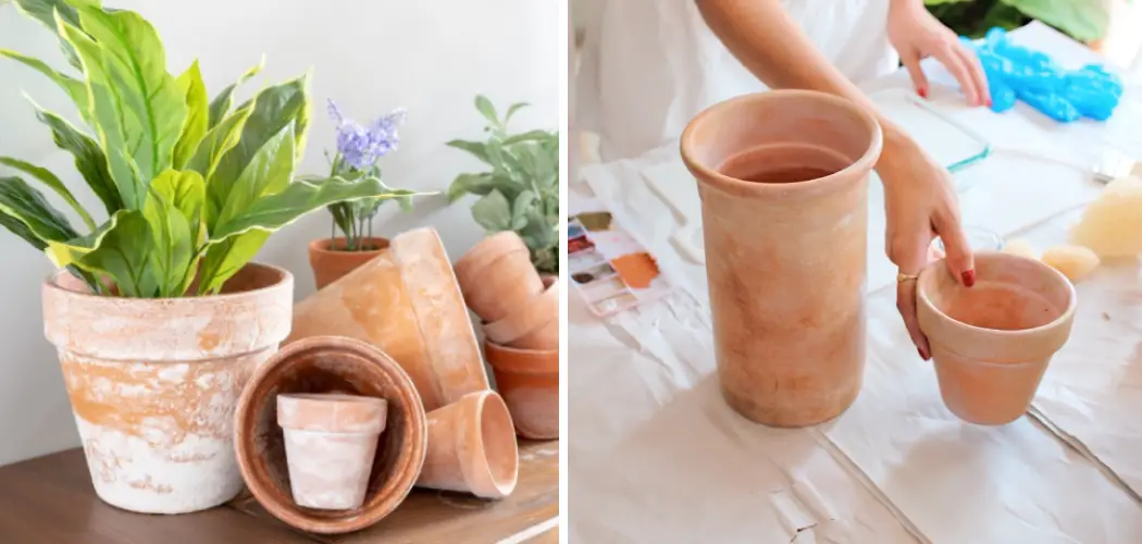 How to Age Terracotta Pots With Baking Soda