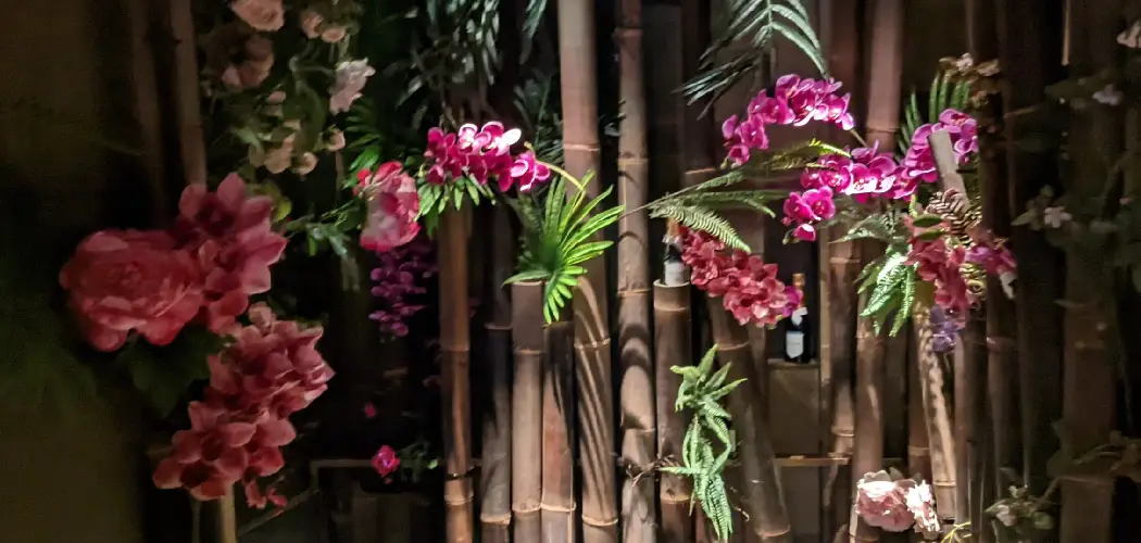 How to Display Orchids Outdoors